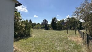 Hinterer Garten