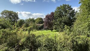 Garten Rückansicht