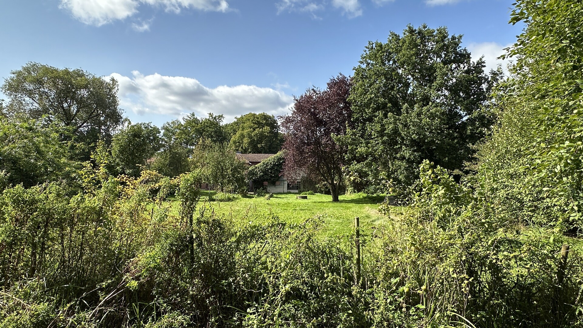 Garten Rückansicht