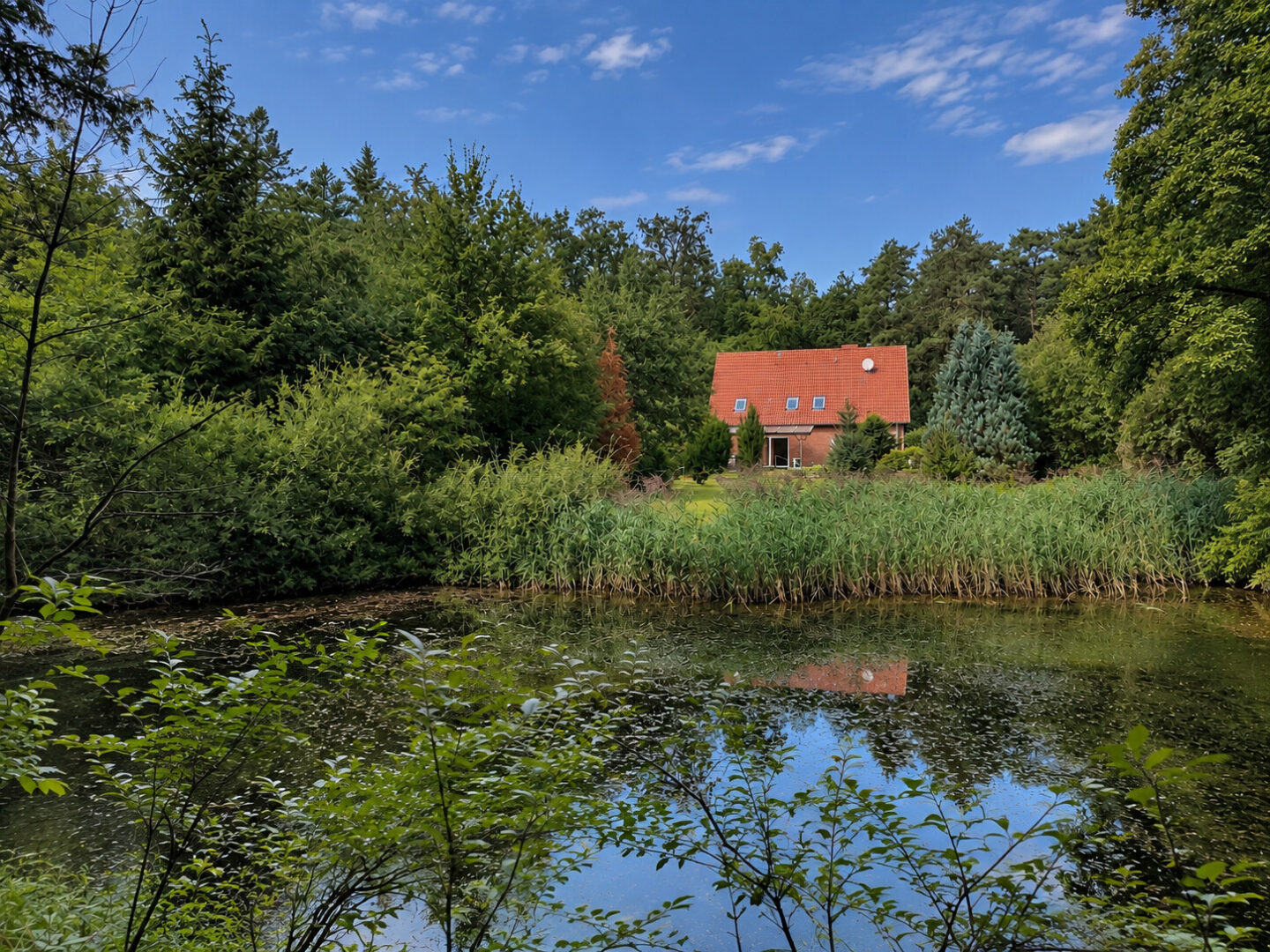 Ansicht vom Teich auf das Haus