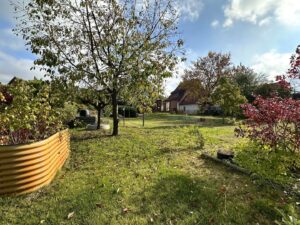 Hochbeet und eingefasste Beete seitlich im Garten